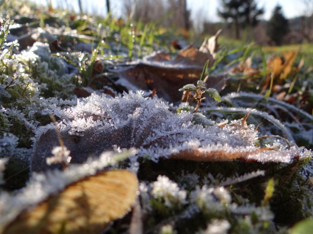 Penzion Pod Kopcem Janov nad Nisou Buitenkant foto